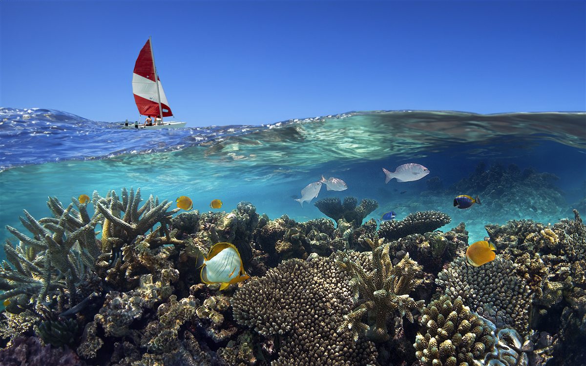 Premium island beach day from Hurghada