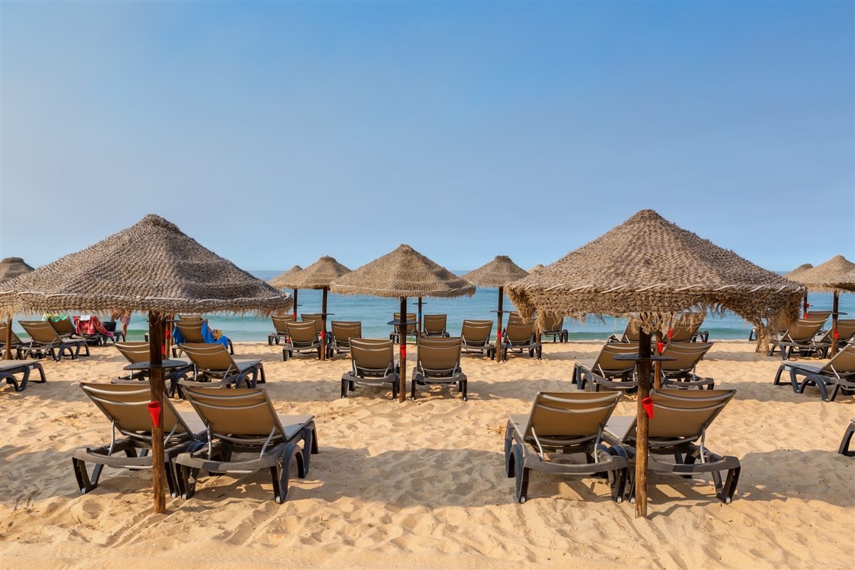Speedboat dolphin trip from Hurghada