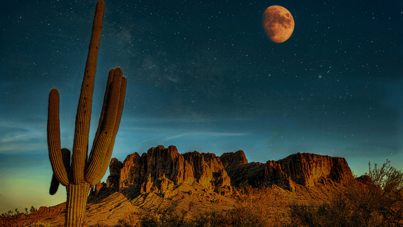 Official Desert Nights artwork from La Dolce Vita for May 27, 2026