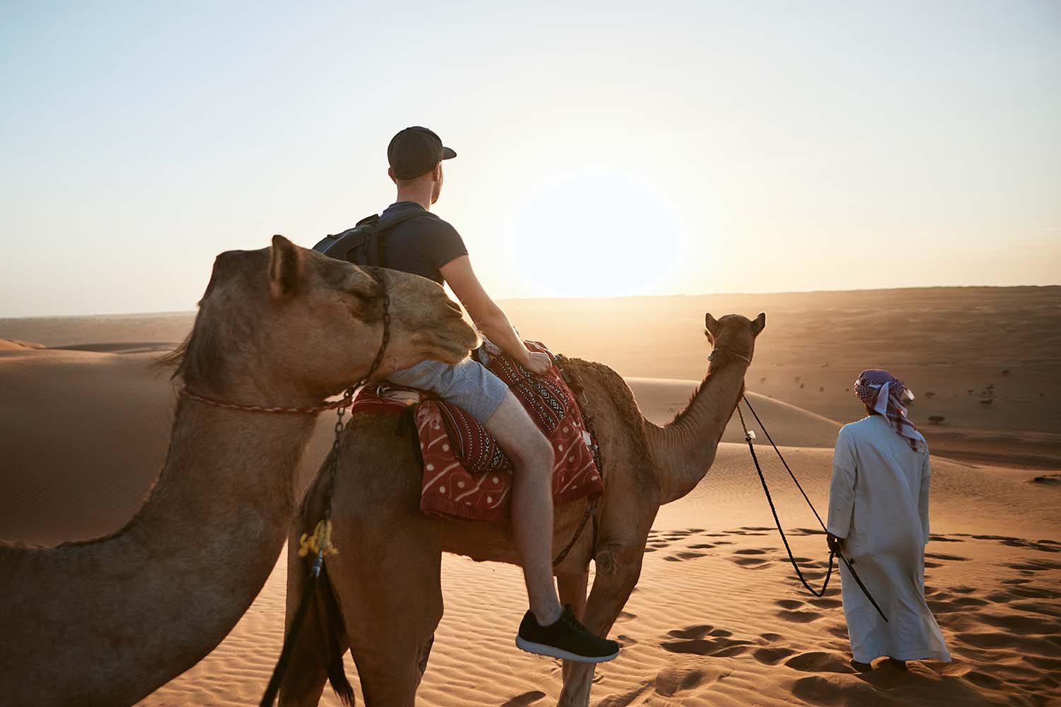 Camel ride and Bedouin tea in the desert
