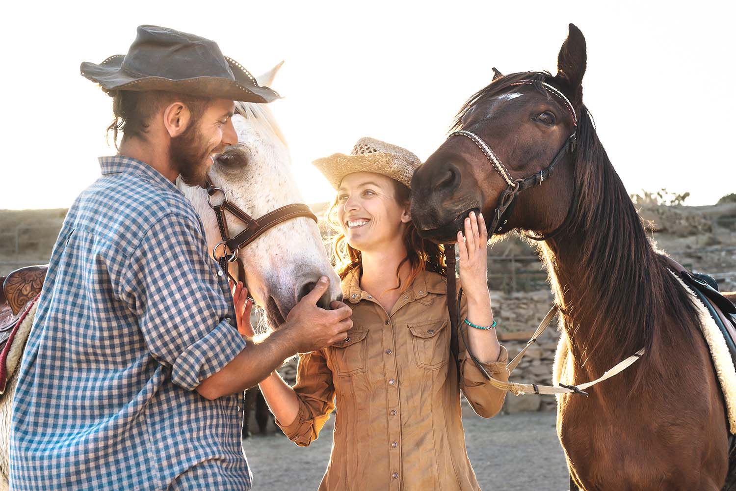 Horse riding in the desert