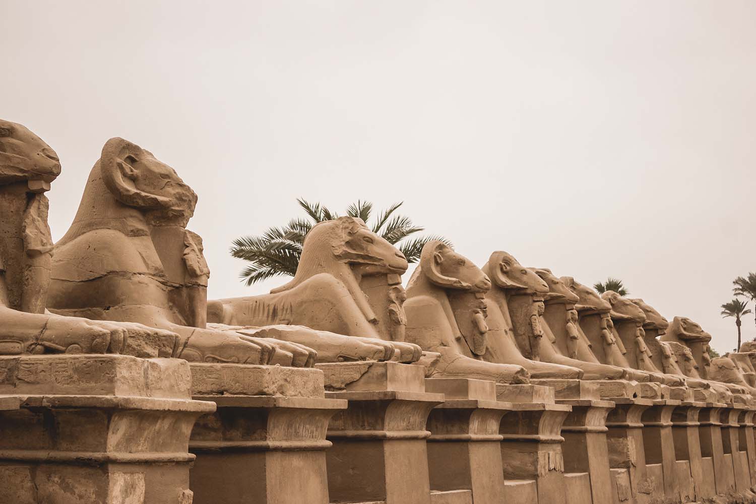 Luxor day trip from Sharm by flight