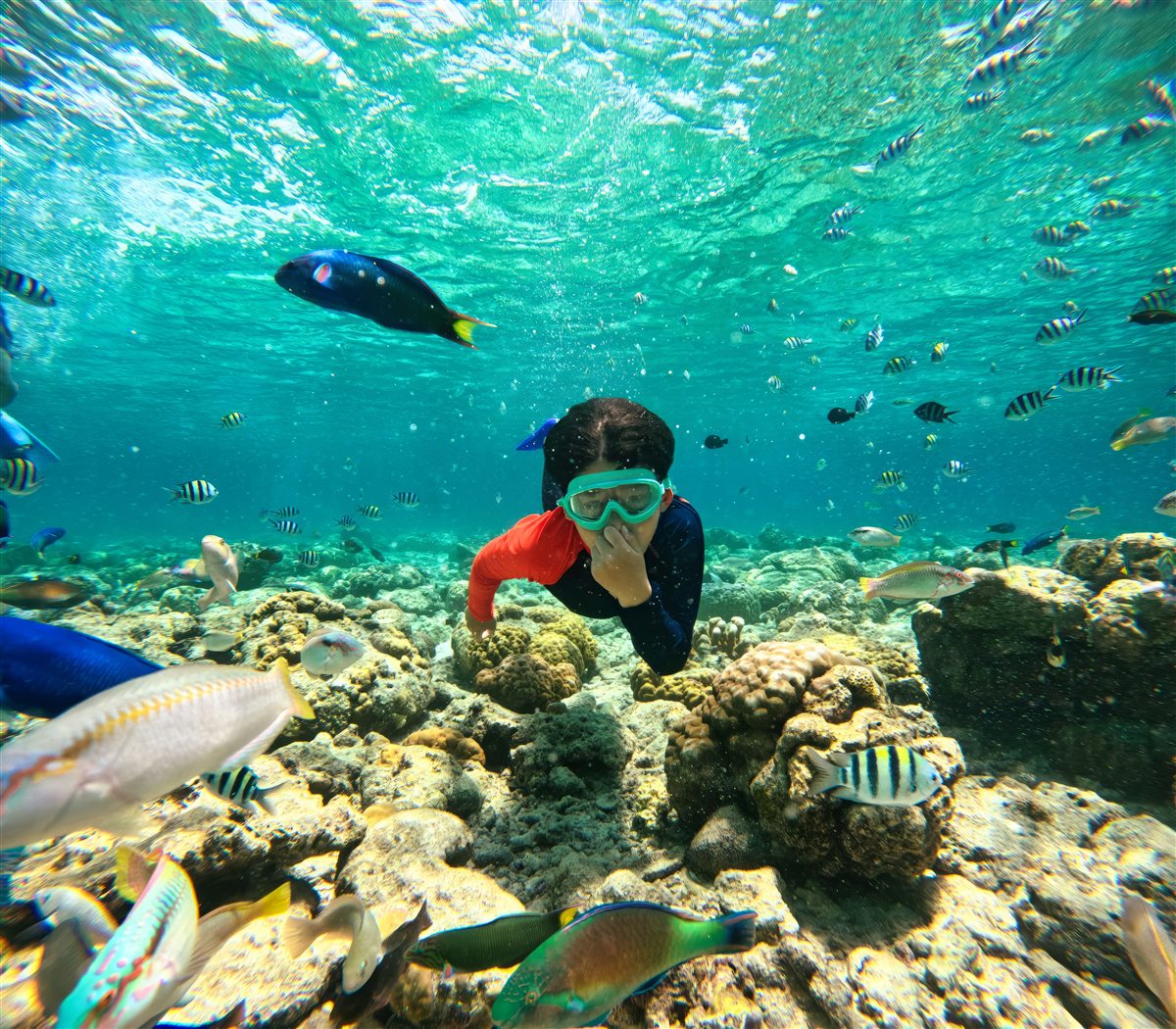 Ras Mohammed National Park boat trip from Sharm