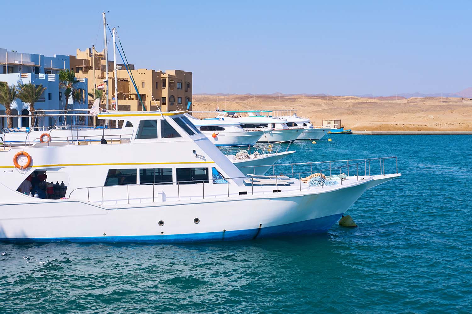 White Island and Ras Mohammed boat trip