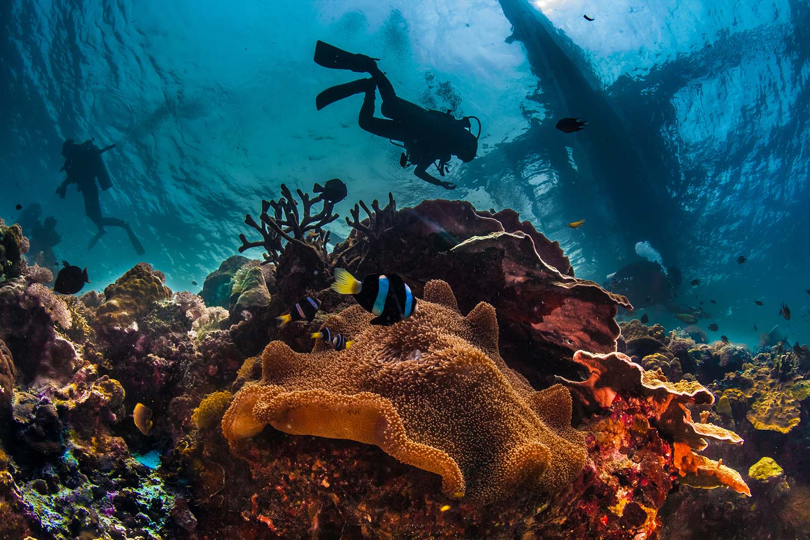 Intro diving in Hurghada