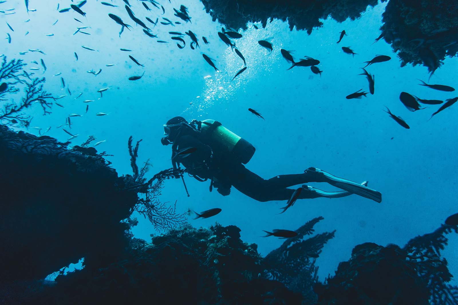 Diving at a Red Sea reef near Hurghada