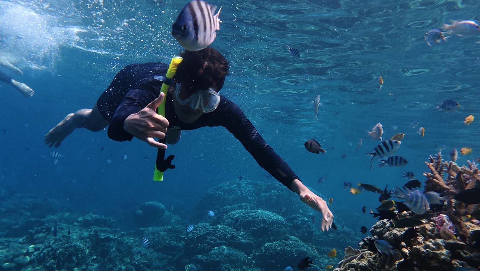 Snorkeling Boat Trip related Red Sea setting