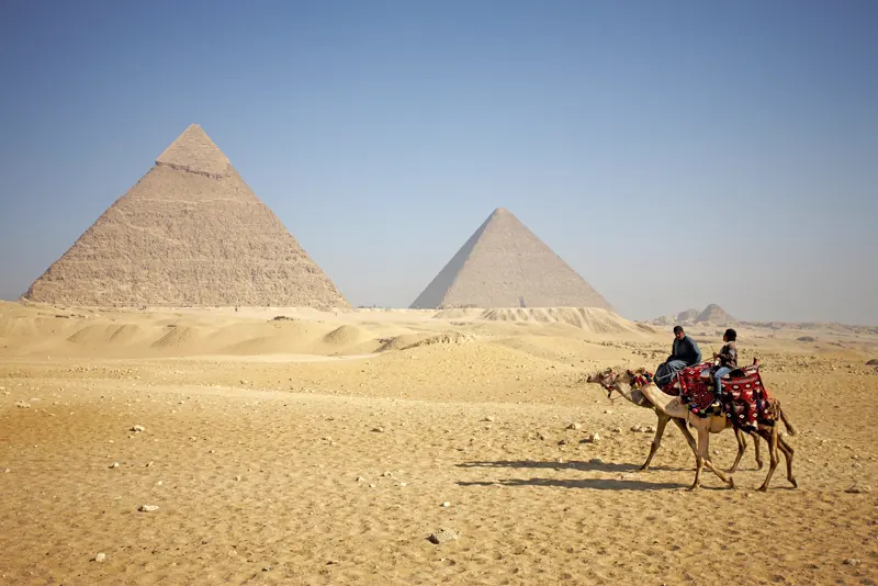 Camel ride local experience in Cairo